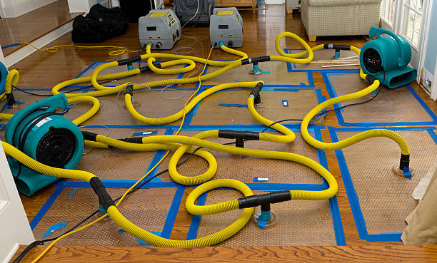 Professional Flood Damage Restoration technician working in Brentwood, NY